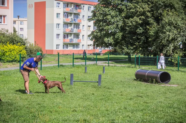 Wybieg dla psów - Gdynia 