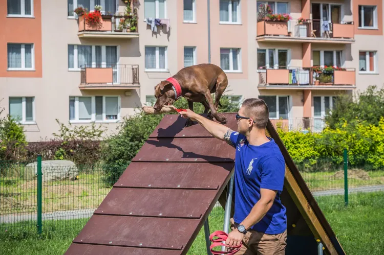 Wybieg dla psów - Gdynia 