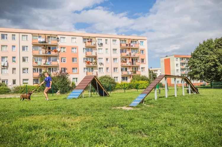 Wybieg dla psów - Gdynia 