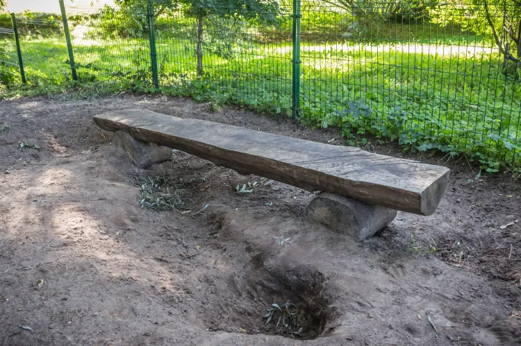 Wybieg dla psów - Sopot 