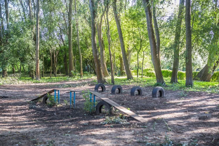 Wybieg dla psów - Sopot 
