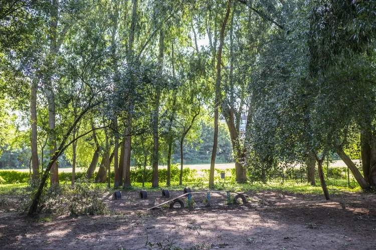 Wybieg dla psów - Sopot 