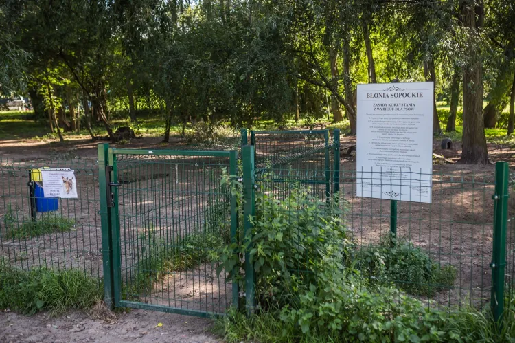 Wybieg dla psów na sopockich Błoniach (ul. Polna) wyposażony jest m.in. w różne przeszkody, opony, pnie i ławki do siedzenia. 