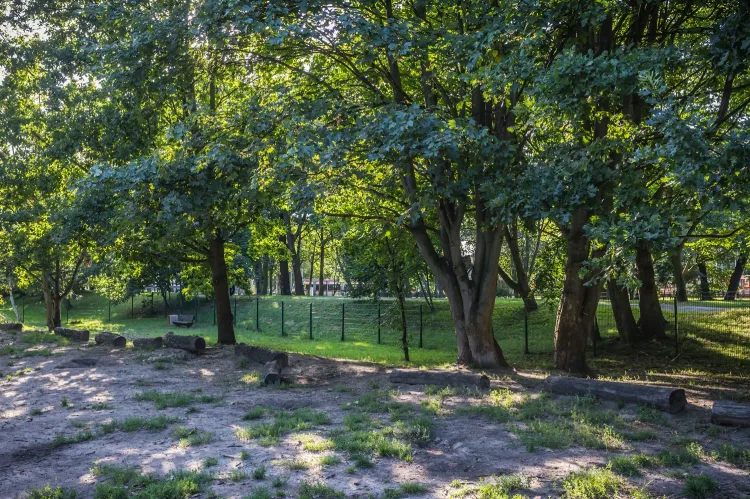 Wybieg dla psów - Gdańsk 