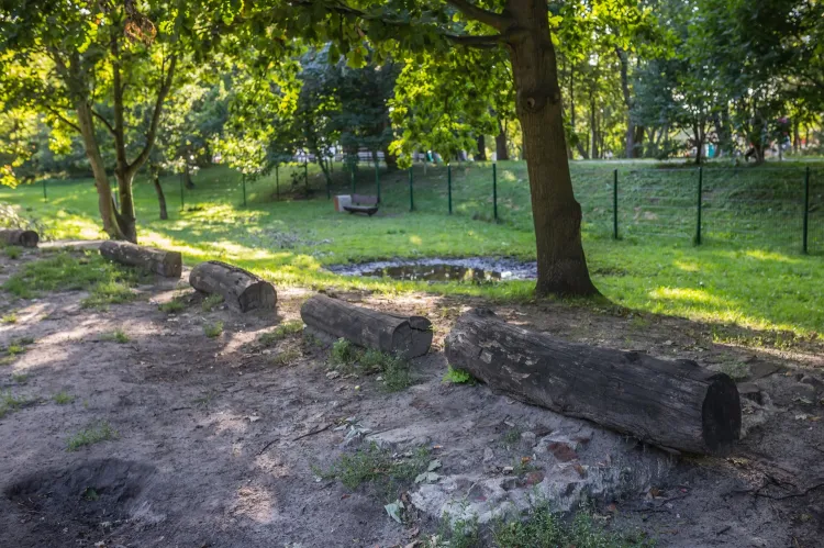 Wybieg dla psów - Gdańsk 