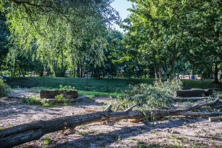Wybieg dla psów - Gdańsk 