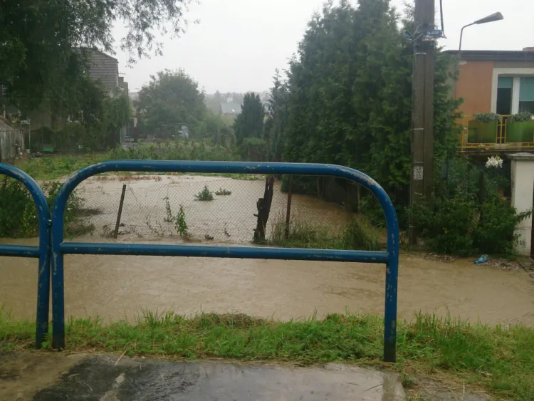 Obfite opady deszczu wezbrały wody potoku Oruńskiego.