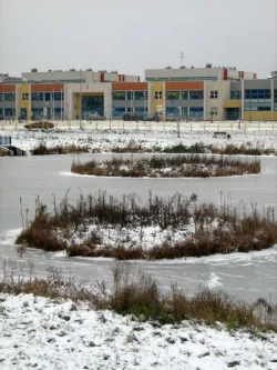 Dzień po próbnej ewakuacji staw przed szkołą na Ujeścisku był już skuty lodem.