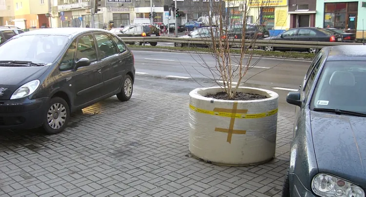 Od połowy listopada trudniej zaparkować samochód przy ul. Śląskiej. Pojawiły się tam donice z nasadzonymi brzozami.
