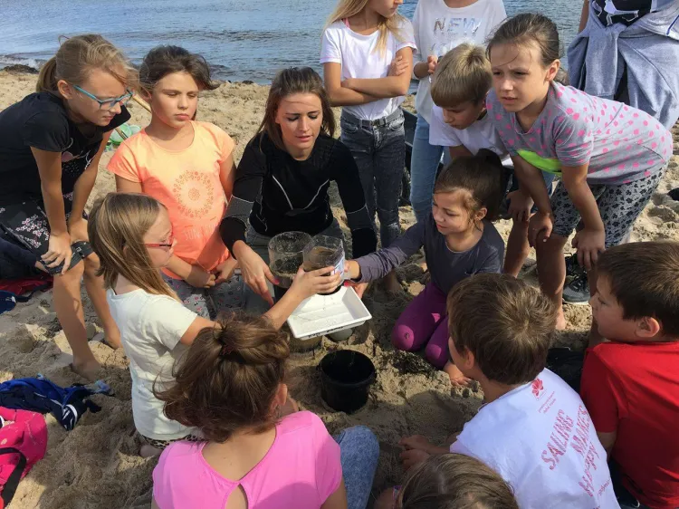 Projekt "Morsy odkrywcy" popularyzuje wśród dzieci i młodzieży wiedzę na temat Bałtyku. 