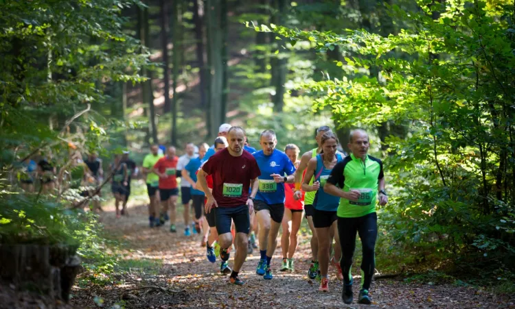 Podczas pierwszych zawodów w sezonie City Trail linię mety minęło w Gdańsku 378 osób.