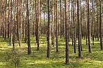 Zdjęcia z rowerowej przejażdżki szlakiem przyrodniczym "Pętla Przytarnia"