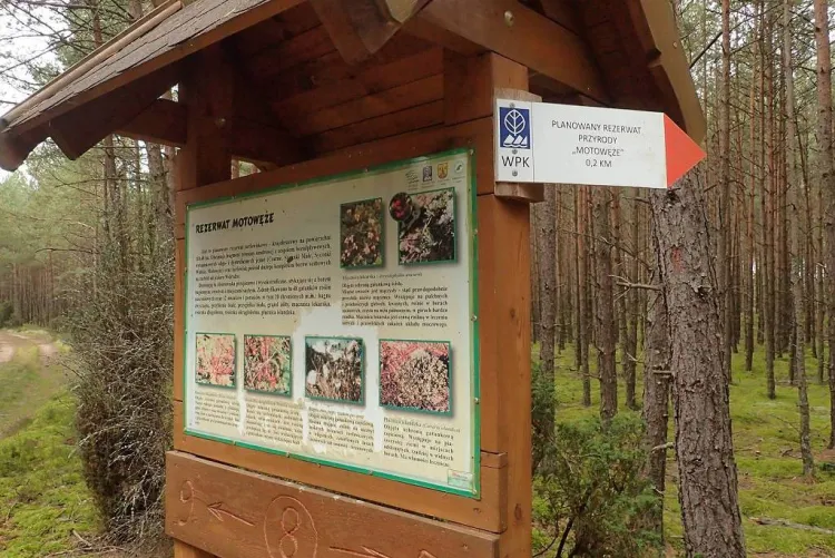 Zdjęcia z rowerowej przejażdżki szlakiem przyrodniczym "Pętla Przytarnia"