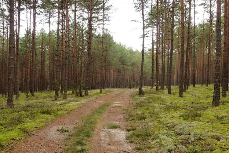 Zdjęcia z rowerowej przejażdżki szlakiem przyrodniczym "Pętla Przytarnia"