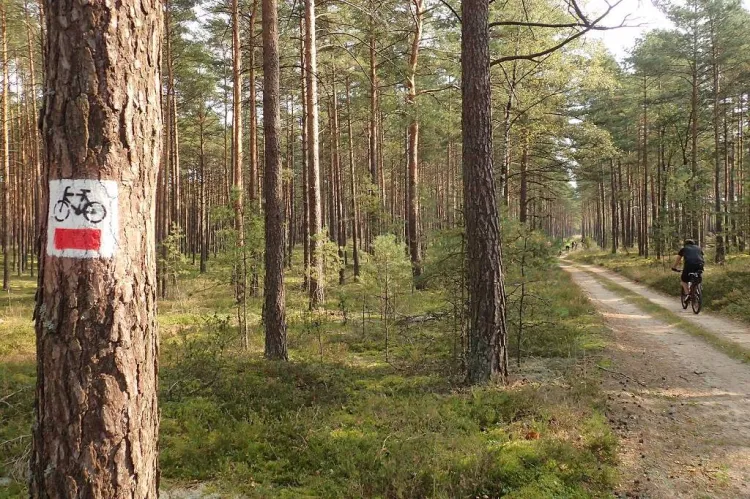 Zdjęcia z rowerowej przejażdżki szlakiem przyrodniczym "Pętla Przytarnia"
