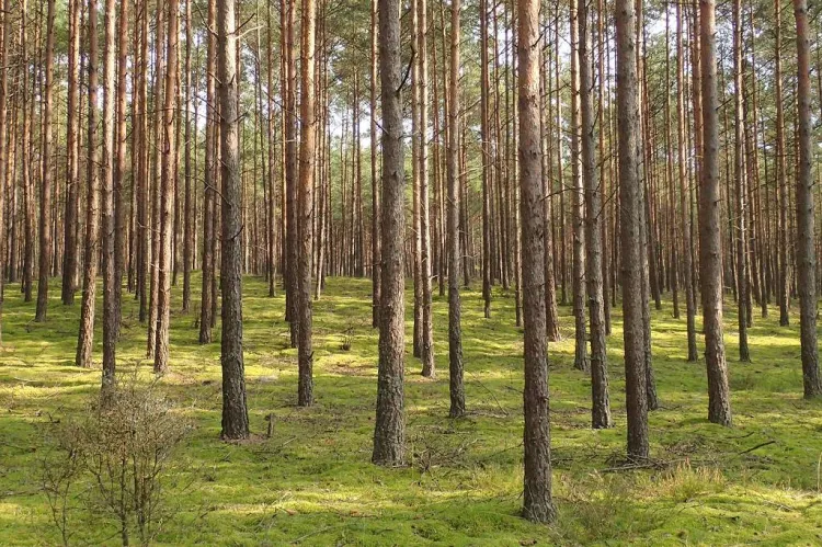 Zdjęcia z rowerowej przejażdżki szlakiem przyrodniczym "Pętla Przytarnia"