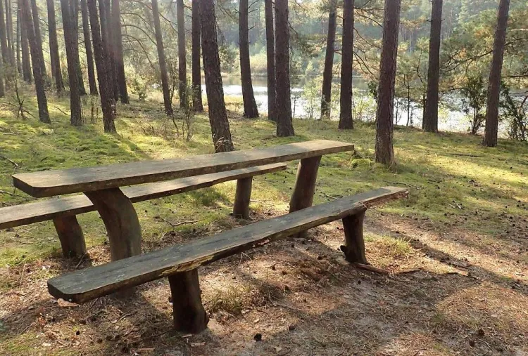 Zdjęcia z rowerowej przejażdżki szlakiem przyrodniczym "Pętla Przytarnia"