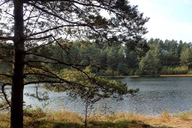 Zdjęcia z rowerowej przejażdżki szlakiem przyrodniczym "Pętla Przytarnia"