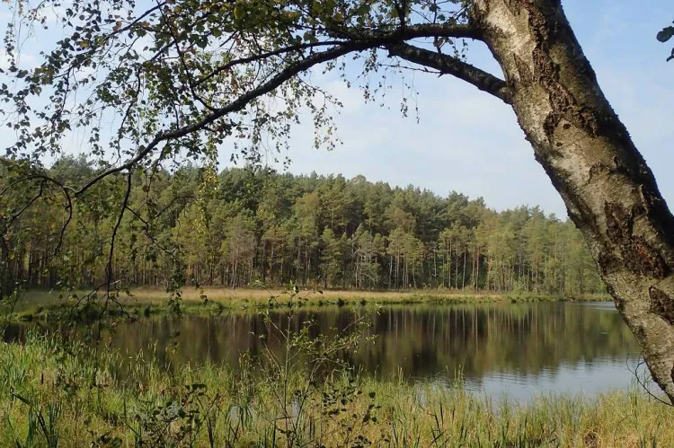 Zdjęcia z rowerowej przejażdżki szlakiem przyrodniczym "Pętla Przytarnia"