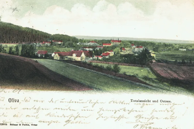 Widokówka z przełomu XIX i XX wieku, na której zaprezentowano widok rozpościerający się z odtworzonego właśnie punktu widokowego w lasach oliwskich.