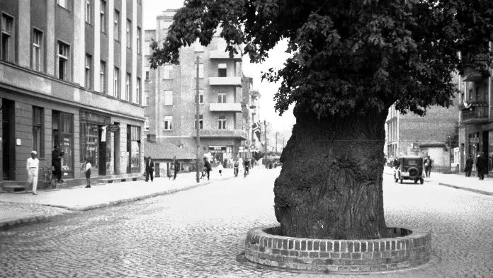 Ul. Portowa w Gdyni tętniła przed wojną życiem.