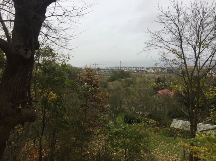 Widok w stronę Oruni Górnej, który rozciąga się ze zbocza Góry Luizy.