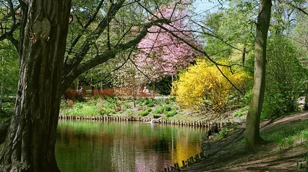 W wolne dni będzie czas by odwiedzić Park Oliwski i to nie tylko wiosną.