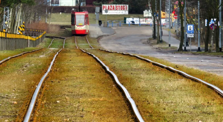 Tak dziś wygląda torowisko tramwajowe na Stogach. Remont jest potrzebny i dobrze, że w końcu do niego dojdzie.
