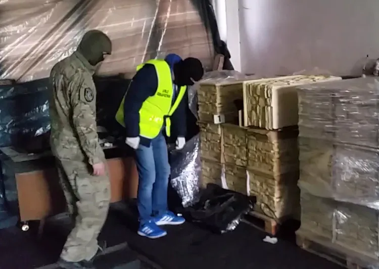 Prawie 80 kg marihuany przemycono do Polski w donicach ogrodowych przywiezionych z Hiszpanii.