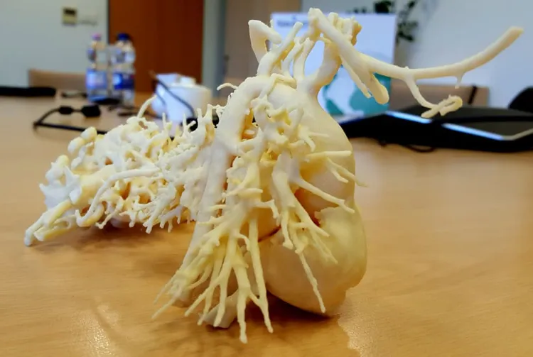 Wojciech Wojtkowski i Henryk Olszewski założyli stowarzyszenie Serce 3D, które ma pomagać poprzez tworzenie modeli 3D, a także wspierać inicjatywy na rzecz rozwoju nowoczesnego obrazowania medycznego z wykorzystaniem technologii druku 3D.