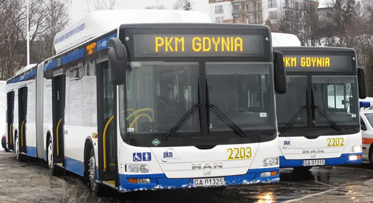 Jedyną ofertę na autobusy dla Gdyni złożyła firma MAN. Jest o 16 mln wyższa niż zakładany przez miasto wydatek.