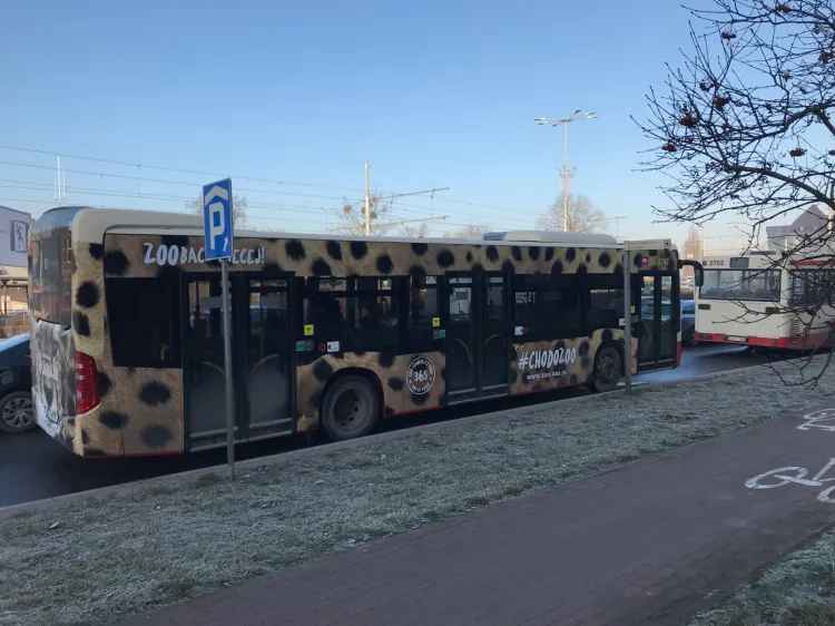 Umowa między zoo a GAiT na oklejenie autobusu, obowiązywać będzie przez trzy lata. 