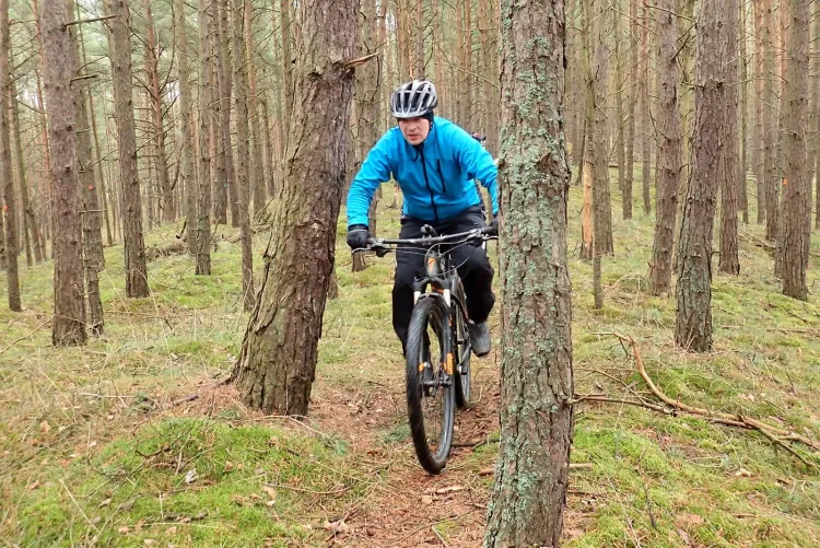 Lasy Wyspy Sobieszewskiej i intensywny wypad rowerowy w formie treningu MTB