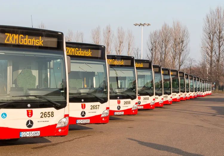 21 egzemplarzy modelu Mercedes Citaro to ostatnia inwestycja we flotę autobusową w Gdańsku. Teraz miasto zamawia 46 nowych autobusów.