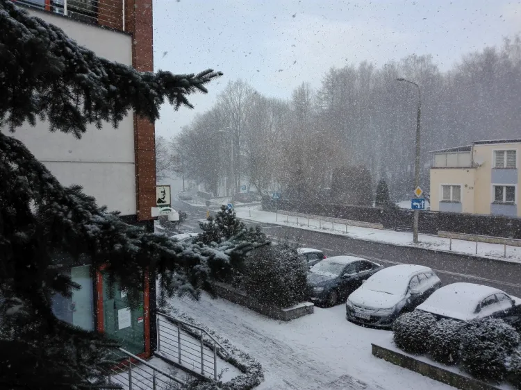 Śnieg w Trójmieście, z przerwami, będzie padał do wtorku.