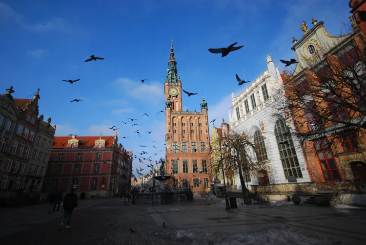 Każdą całoroczną placówkę Muzeum Gdańska (Ratusz Głównego Miasta, Dwór Artusa, Dom Uphagena, Muzeum Bursztynu oraz Muzeum Poczty Polskiej) zwiedzić można za darmo we wtorki w godzinach 10-13. 