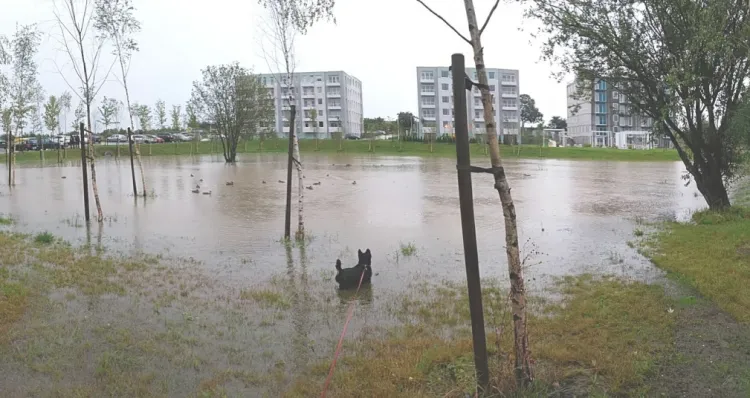 Obniżenie w terenie pomiędzy budynkami osiedla 18'36 przy ulicy Starogardziej. Po ulewnych deszczach woda rozlewa się w zagłębieniu między budynkami. Zdjęcie wykonane w lipcu 2017 roku. 