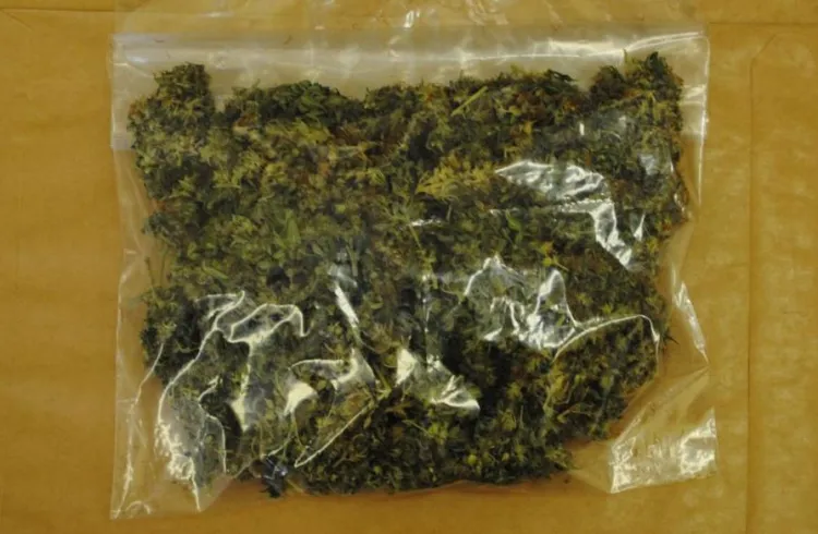 Przy grafficiarzu znaleziono kilkadziesiąt gramów marihuany.
