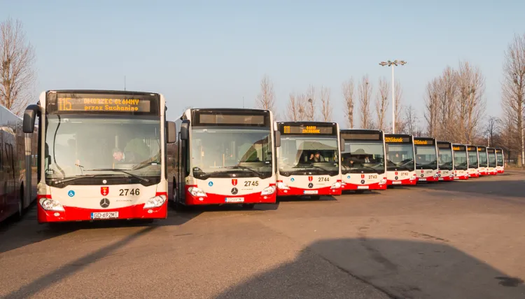 Jeżeli dojdzie do podpisania umowy, nowe autobusy pojawią się na ulicach w przyszłym roku. Nz. Mercedesy Citaro z poprzedniego zamówienia.