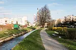 Potok Strzyży, który ma zostać poszerzony, a wzdłuż niego pojawią się nowe alejki spacerowe.