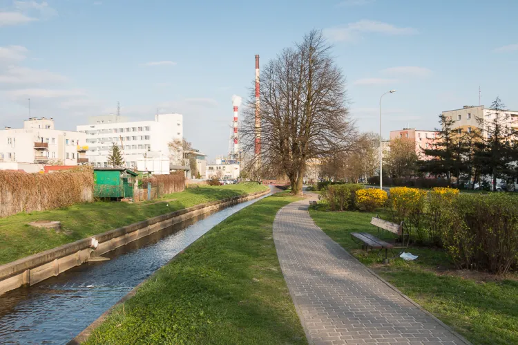 Potok Strzyży, który ma zostać poszerzony, a wzdłuż niego pojawią się nowe alejki spacerowe.