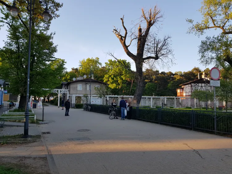 Poprawi się estetyka parku Brzeźnieńskiego. 