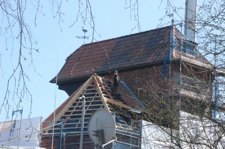 Zdjęcia dokumentujące budowę repliki gdańskiego Żurawia w Sierksdorf nad Zatoką Lubecką.