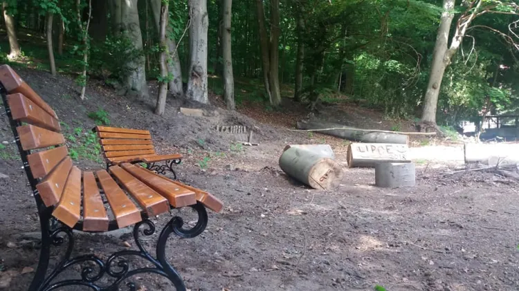 Mieszkańcy w kwietniu zaangażowali się w uprzątnięcie fragmentu dawnego parku przy przedszkolu i kupili trzy stylizowane ławki. 
