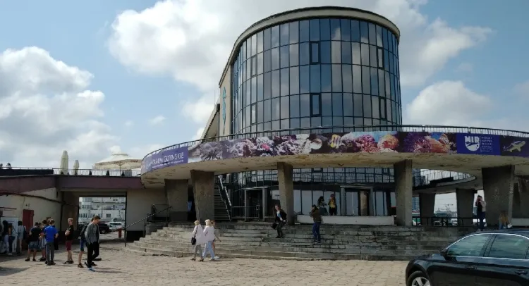 Remont tarasu Akwarium Gdyńskiego zaplanowano po wakacjach.