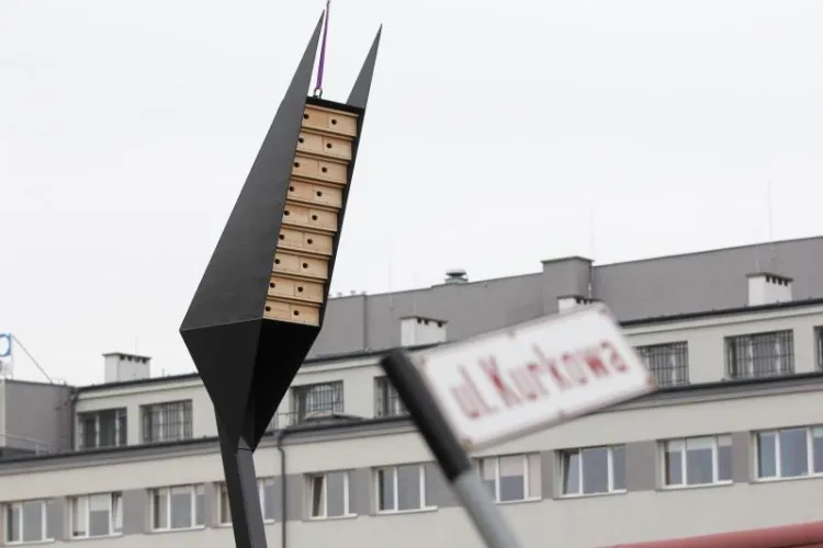 W 2014 roku w Gdańsku ustawiono wieże dla jerzyków. Ptaki jednak się w nich nie zagnieździły. 
