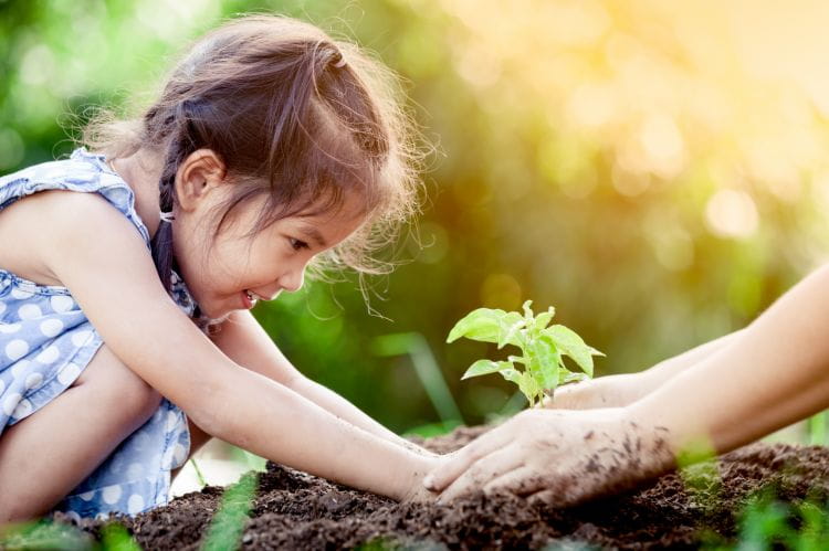 Wspólne z dzieckiem uprawianie roślin pozwoli mu poznać podstawowe zasady rządzące przyrodą i przyczyni się do lepszego kontaktu z naturą. 