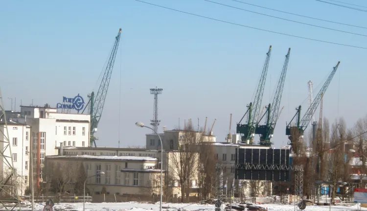 Ze wstępnych ustaleń wynika, że zyski gdyńskiego portu za 2010 rok wyniosły 43,3 mln zł.
