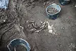 Szczątki odsłonięte podczas badań archeologicznych na terenie dawnego cmentarza przy kościele św. Piotra i Pawła.