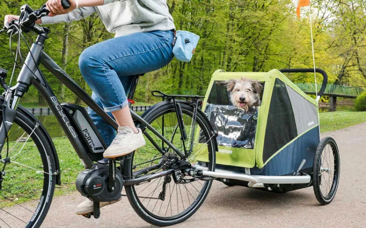 Przyczepka rowerowa dla psa to idealny sposób na pokazywanie pupilowi więcej świata